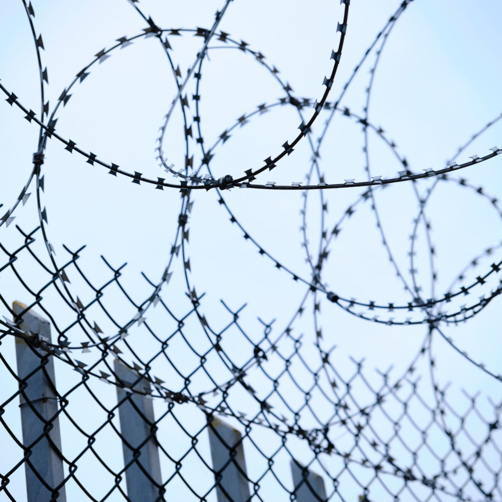 Picture showing a barbed wire fence
