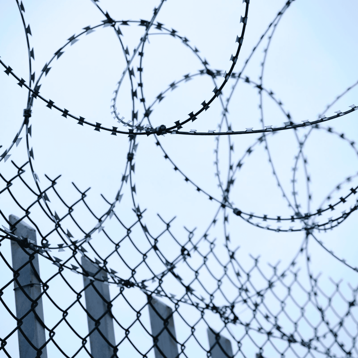 Picture showing a barbed wire fence