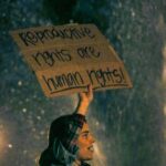 The French Constitutional Amendment on Abortion